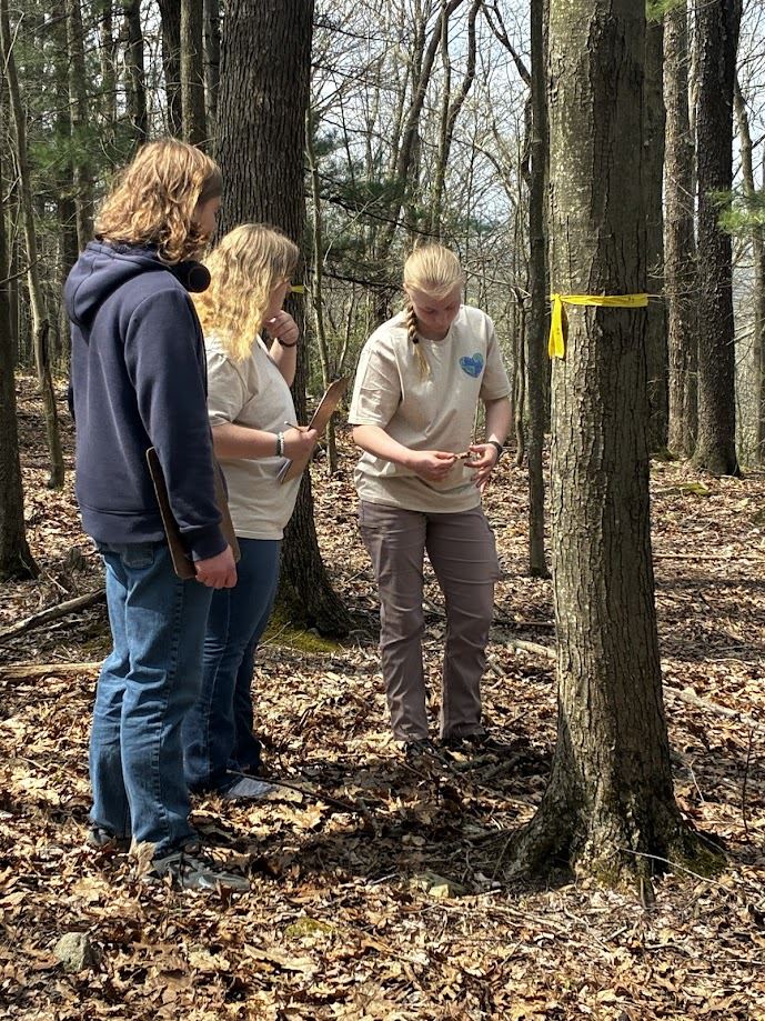  Image of the GC Envirothon participants engaged in forestry.